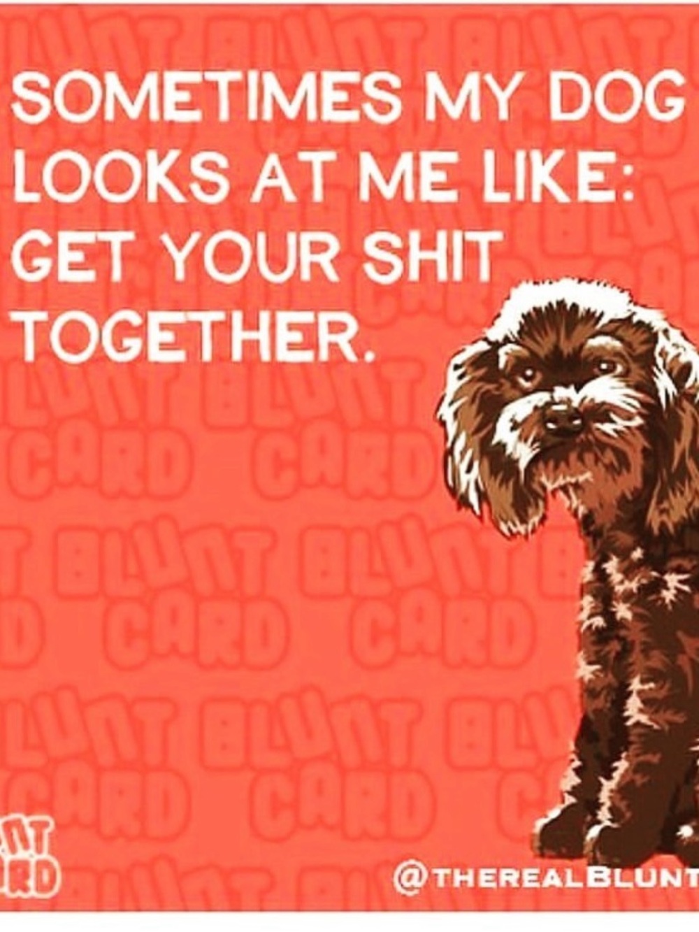 @Jay_stylz